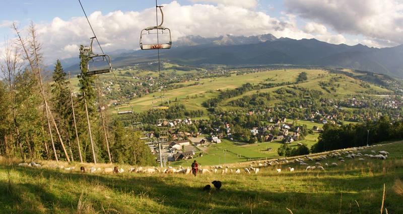 Apartmán Pokoje u ZośkiP Zakopane Exteriér fotografie